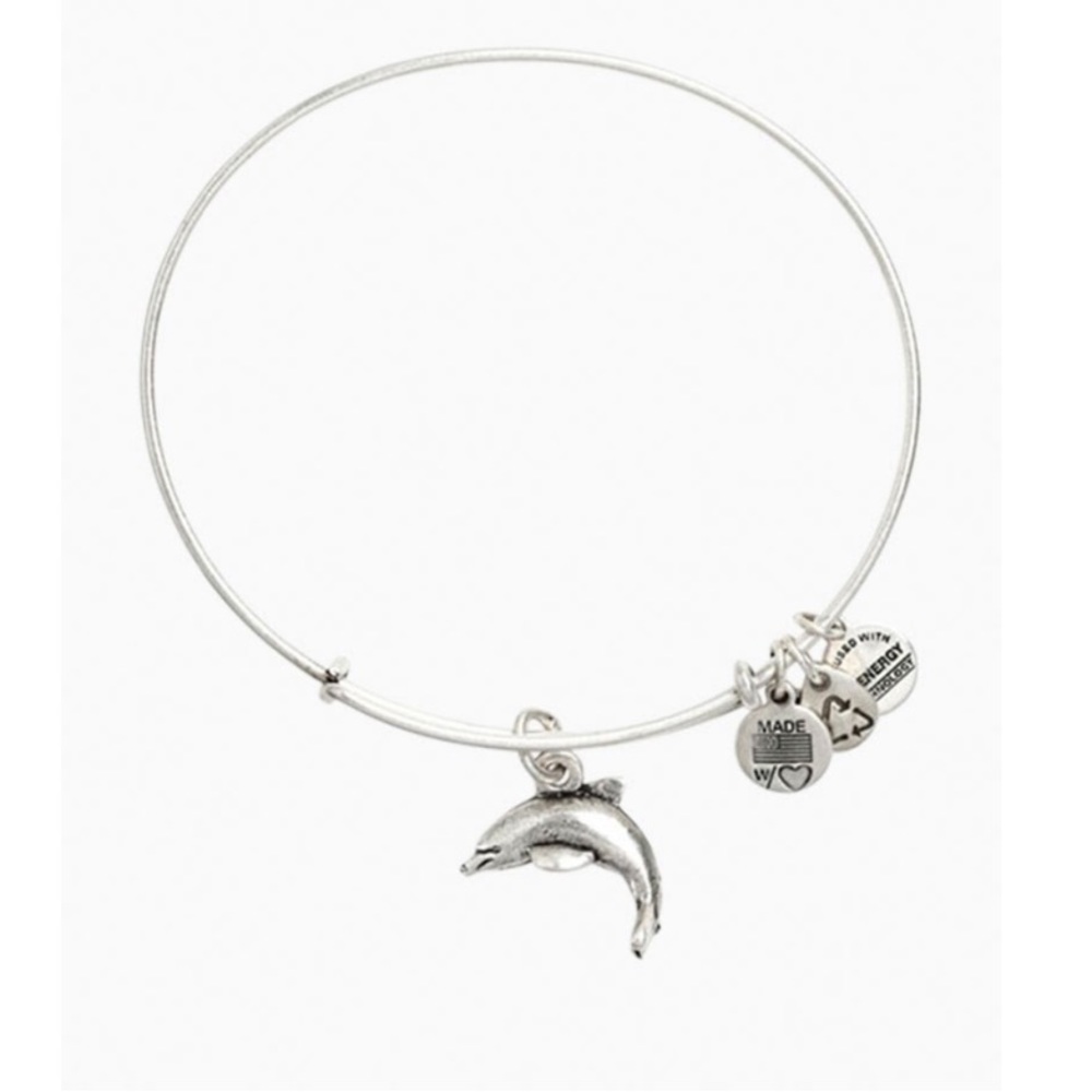 silver alex&ani dolphin bracelet